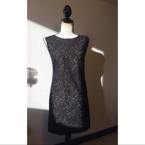 Ann Taylor LOFT LBD 🎀